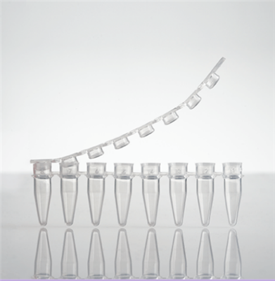 PCR 8 联管，0.2 mL
