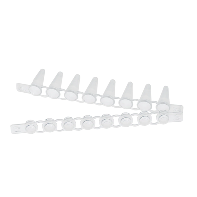 Eppendorf PCR Tube Strips