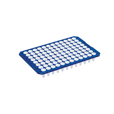  96孔板-荧光定量PCR 